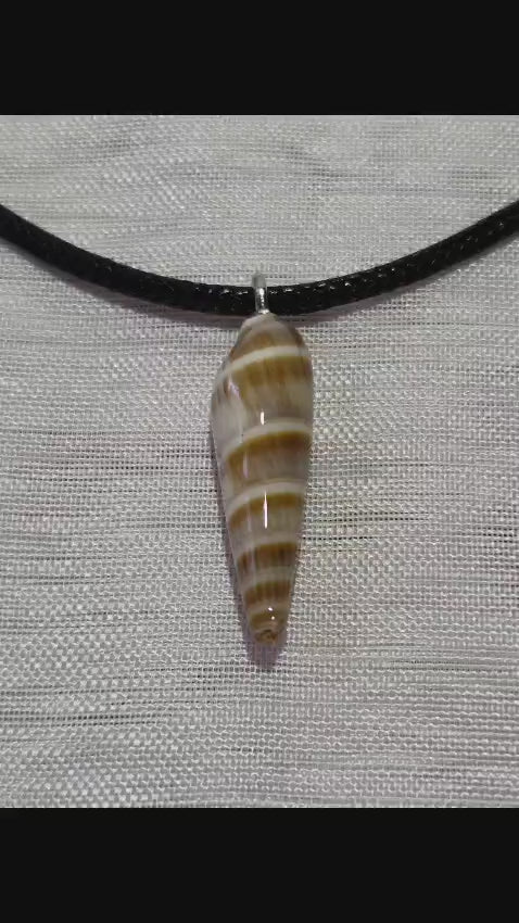 collier avec son coquillage véritable en résine