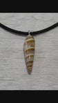 collier avec son coquillage véritable en résine