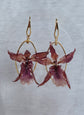 Vrais Orchidées en boucles d&